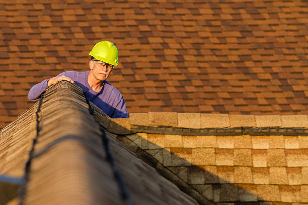 Best Roof Gutter Cleaning  in Sheboygan Falls, WI
